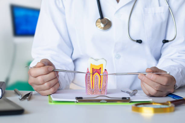 Best Emergency Dental Surgery in Bristol, VA